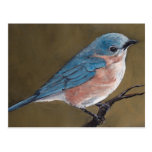 Postal del este del arte del pájaro del Bluebird