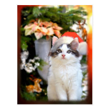 Postal del gatito de las Felices Navidad