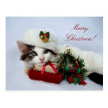 Postal del gatito del navidad