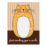 Postal del "gato anaranjado"