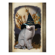 Postal del gato de las brujas