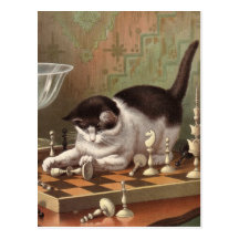 Postal del gato del ajedrez