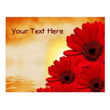 Postal del Gerbera