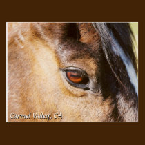 Postal del ojo del caballo del valle de Carmel tarjetas postales