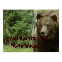 Postal del oso grizzly