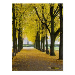 Postal del otoño