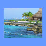Postal del parque de Cozumel México Chankanaab tarjetas postales