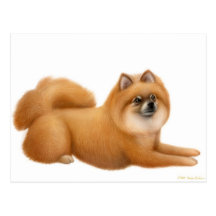 Postal del perrito de Pomeranian