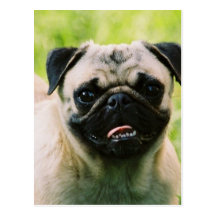 Postal del perrito del barro amasado