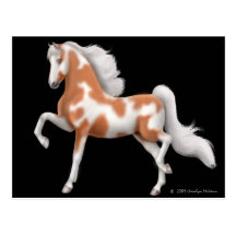 Postal del Pinto de Saddlebred del americano