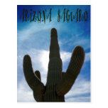 Postal del Saguaro de Arizona