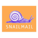 Postal del snail mail