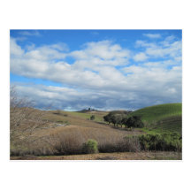 Postal del viñedo de Paso Robles en enero