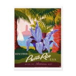 Postal del vintage de Puerto Rico tarjetas postales