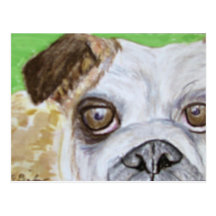 Postal, dibujo del dogo