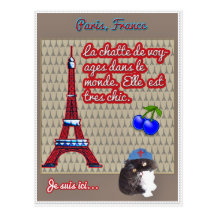 Postal divertida de la torre Eiffel del chatte del