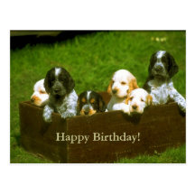 Postal dulce de los perritos