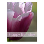 Postal el | Geburtstagskarte Tulpen del cumpleaños
