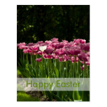 Postal el | Osterpostkarte Tulpen de Pascua de los