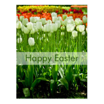 Postal el | Osterpostkarte Tulpen de Pascua de los