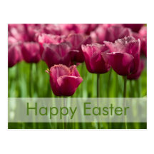 Postal el | Osterpostkarte Tulpen de Pascua de los