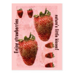 Postal enrrollada de las fresas del Grunge