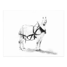 Postal equina del arte del caballo de proyecto de 