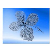 Postal esquelética del ~ de la flor