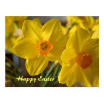 Postal feliz de pascua de los narcisos amarillos
