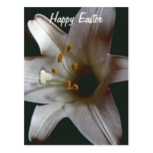 Postal feliz de Pascua del lirio de pascua
