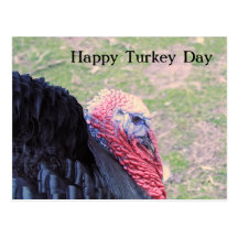 postal feliz del día del pavo