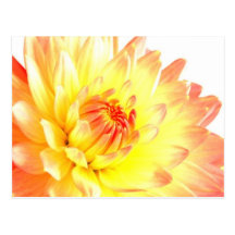 Postal floral