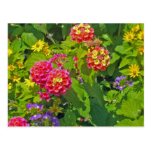 Postal floral