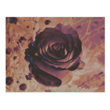 Postal floral subió elegancia
