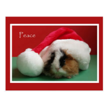 Postal fresca del conejillo de Indias del navidad