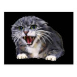 Postal gris enojada del gato