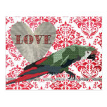 Postal majestuosa del damasco del amor del Macaw
