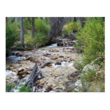 Postal - montañas del diente de sierra, Idaho #193
