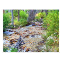 Postal - montañas del diente de sierra, Idaho #193