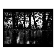 Postal-Naturaleza-Arte de la lluvia 57