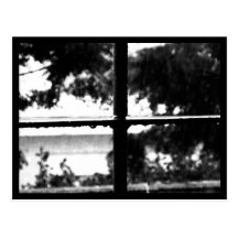 Postal-Naturaleza-Arte de la lluvia 60