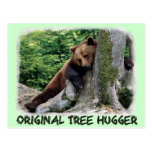 Postal original del oso de Hugger Brown del árbol