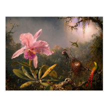 Postal: Orquídea y colibríes