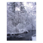 Postal pegajosa del ~ de la nieve 28