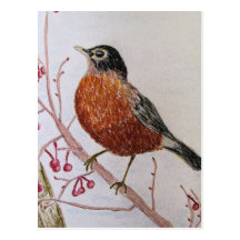 Postal, petirrojo Redbreast