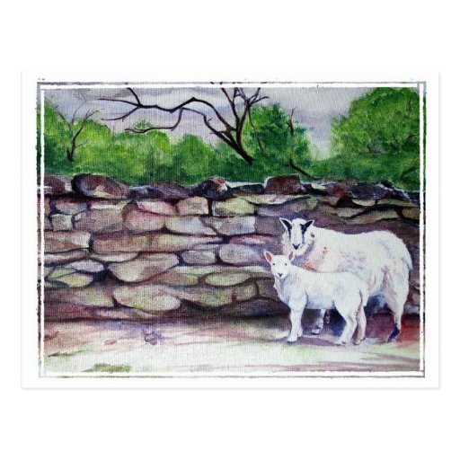 "Postal pintada mano de las ovejas de Cumbrian" -