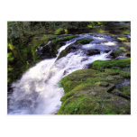 Postal potente de la cascada de Oregon que cae