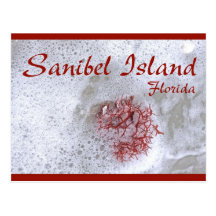 Postal roja de la alga marina de la isla de Sanibe