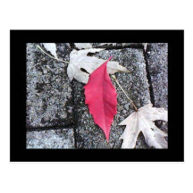 Postal roja de la hoja
