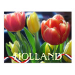 Postal roja y amarilla de Holanda de los tulipanes